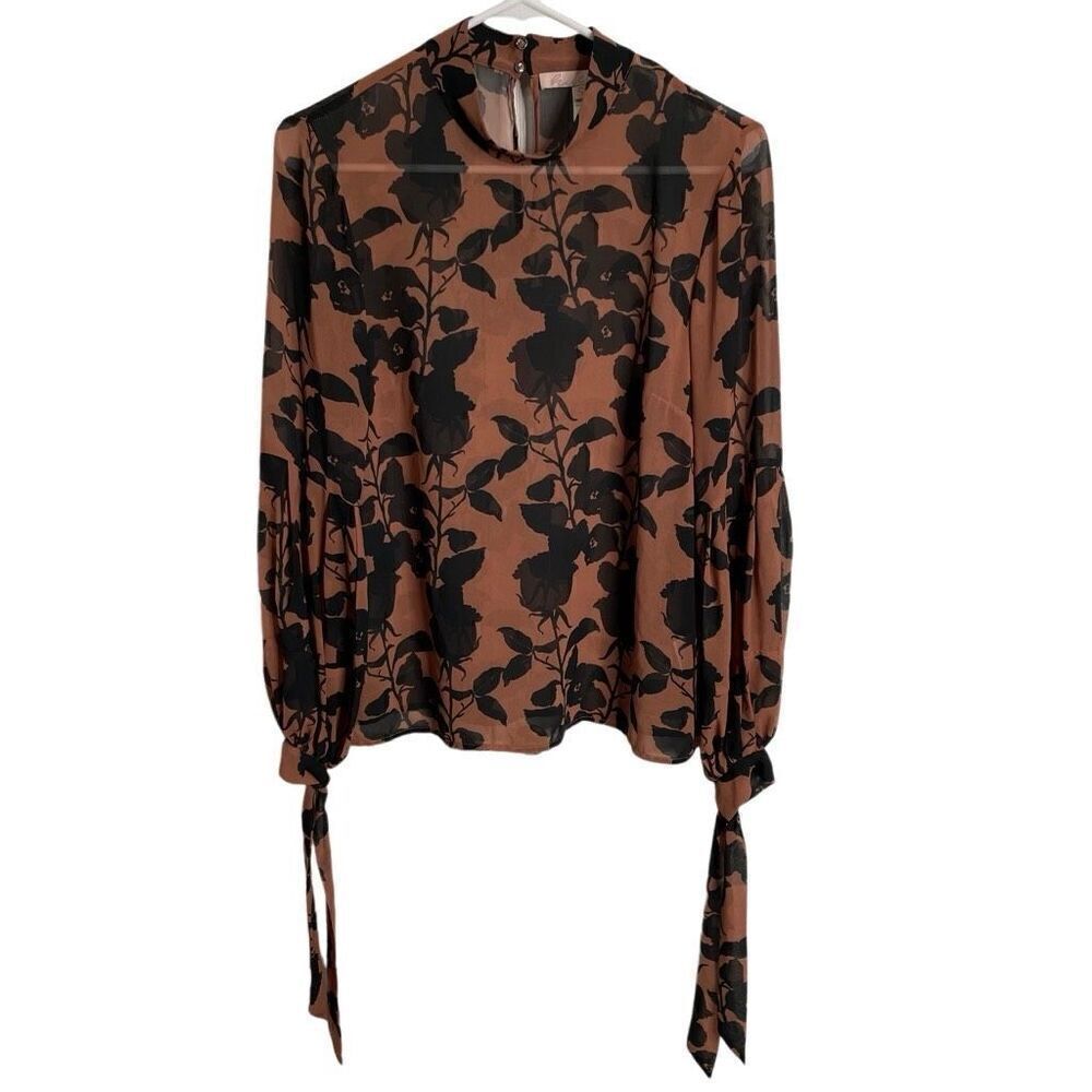 Hutch Womens Myla Top S Brown Floral Sheer Whimsigoth Long Sleeve Mockneck